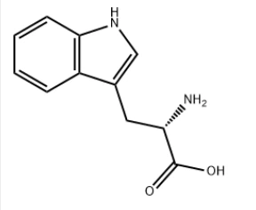 L - Tryptophan CAS No.:73-22-3